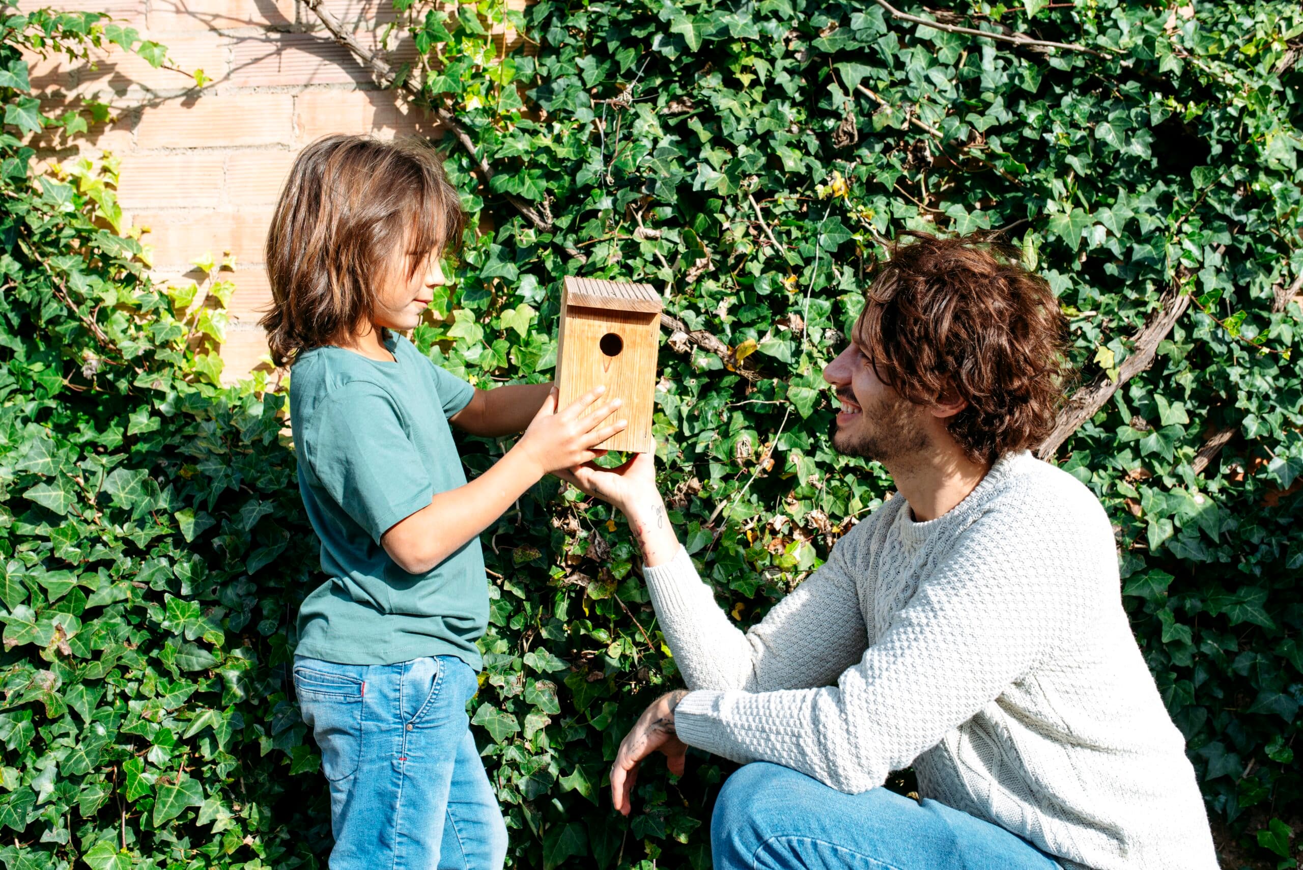 BIRD BOX – CHIẾC “LỒNG CHIM” CHỮA LÀNH
